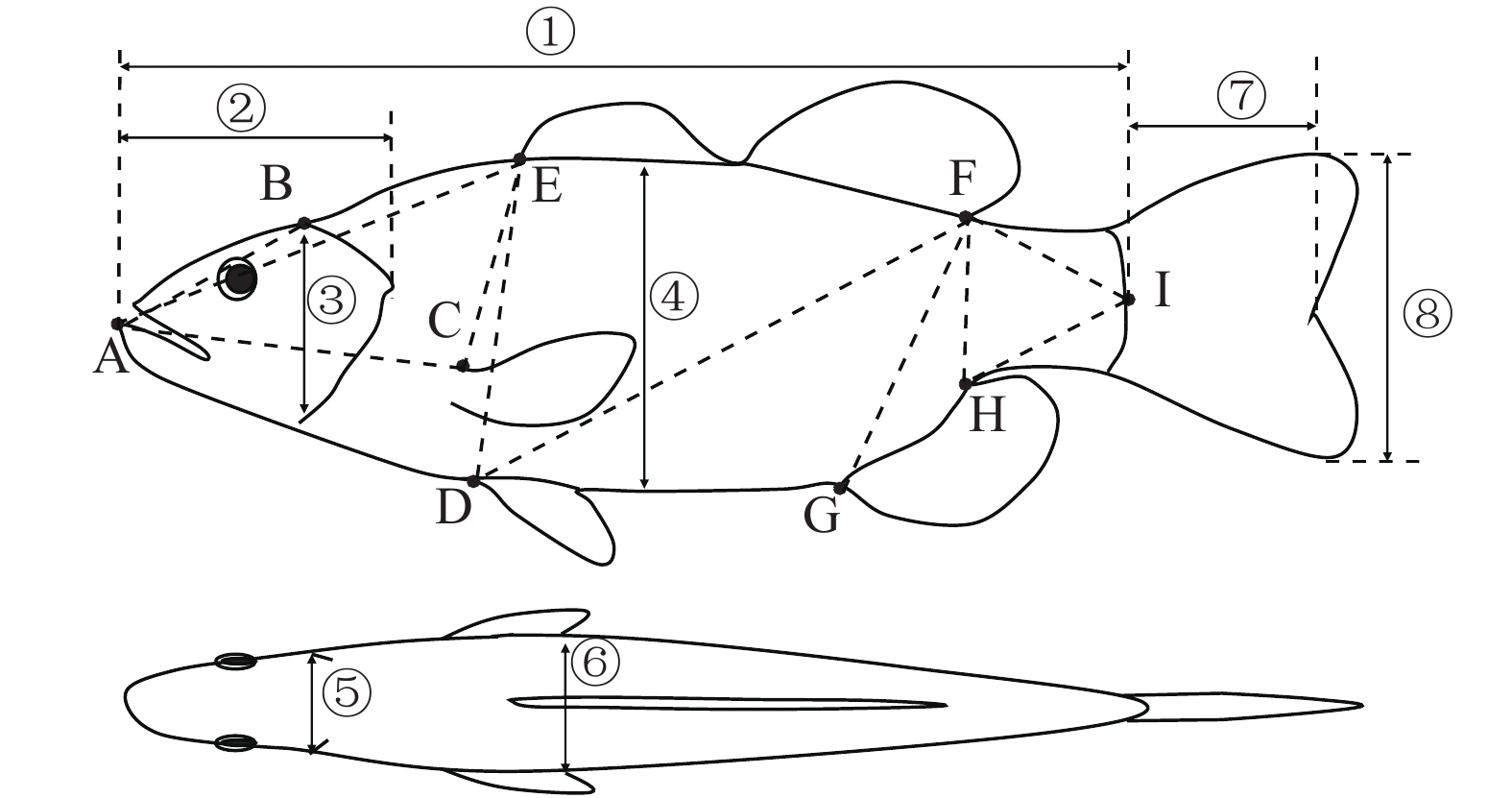 南方水产科学